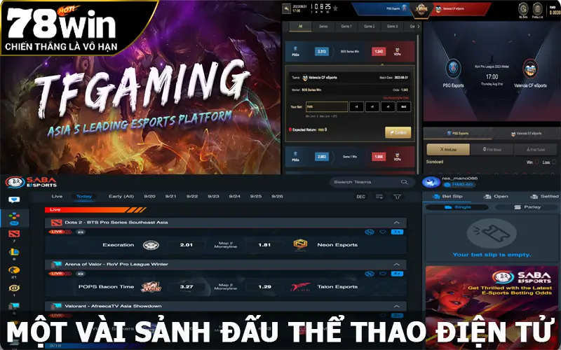 Một vài sảnh đấu Esports đạt được thành công lớn